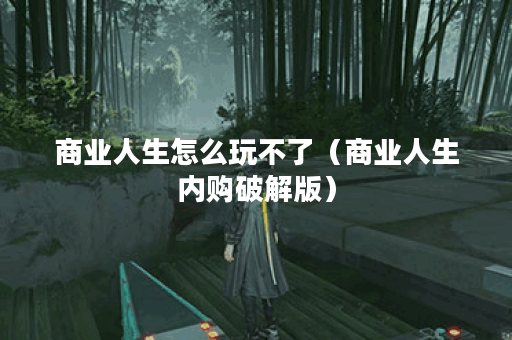 商业人生怎么玩不了（商业人生内购破解版）