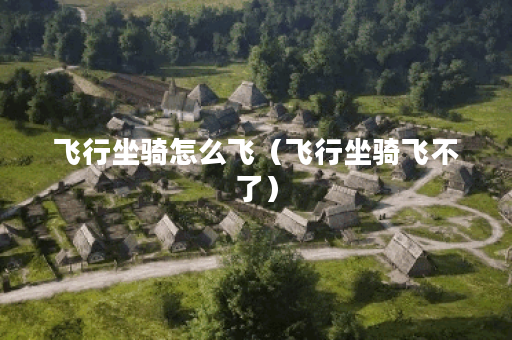 飞行坐骑怎么飞（飞行坐骑飞不了）