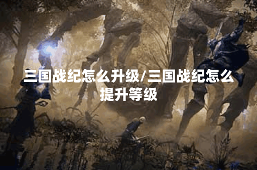 三国战纪怎么升级/三国战纪怎么提升等级