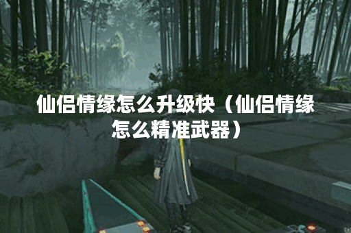 仙侣情缘怎么升级快（仙侣情缘怎么精准武器）