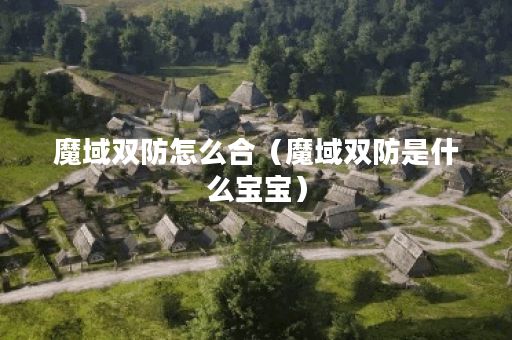 魔域双防怎么合（魔域双防是什么宝宝）