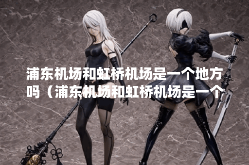 浦东机场和虹桥机场是一个地方吗（浦东机场和虹桥机场是一个地方吗）