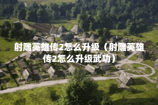 射雕英雄传2怎么升级（射雕英雄传2怎么升级武功）