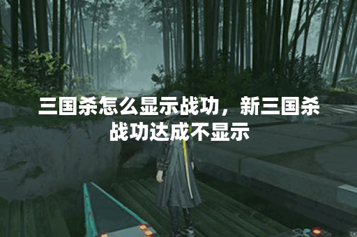 三国杀怎么显示战功，新三国杀战功达成不显示