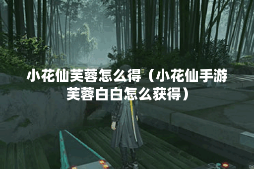 小花仙芙蓉怎么得（小花仙手游芙蓉白白怎么获得）