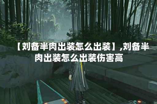 【刘备半肉出装怎么出装】,刘备半肉出装怎么出装伤害高