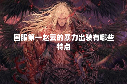 国服第一赵云的暴力出装有哪些特点？如何选择最佳装备？