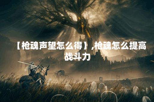 【枪魂声望怎么得】,枪魂怎么提高战斗力