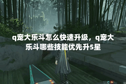 q宠大乐斗怎么快速升级，q宠大乐斗哪些技能优先升5星