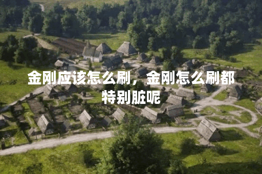 金刚应该怎么刷，金刚怎么刷都特别脏呢