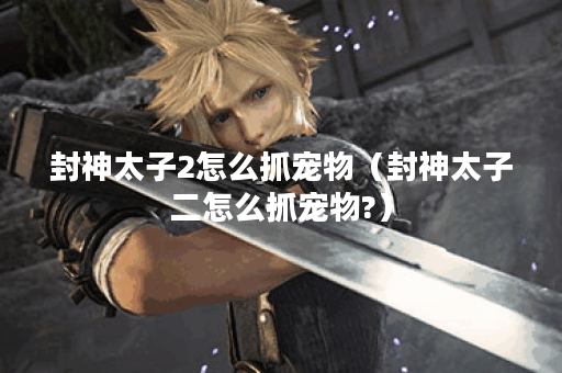 封神太子2怎么抓宠物（封神太子二怎么抓宠物?）