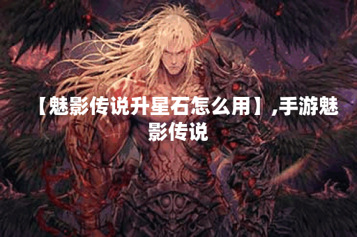 【魅影传说升星石怎么用】,手游魅影传说