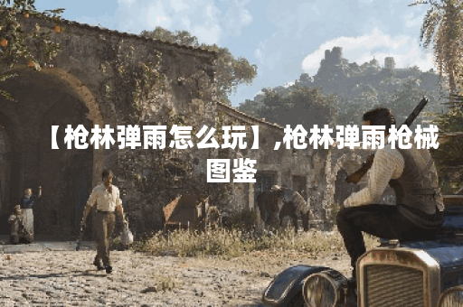 【枪林弹雨怎么玩】,枪林弹雨枪械图鉴