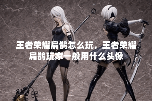 王者荣耀扁鹊怎么玩，王者荣耀扁鹊玩家一般用什么头像