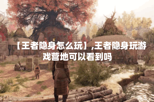 【王者隐身怎么玩】,王者隐身玩游戏营地可以看到吗