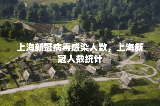 上海新冠病毒感染人数，上海新冠人数统计