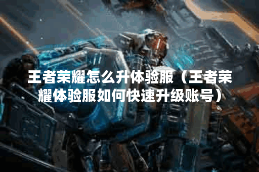 王者荣耀怎么升体验服（王者荣耀体验服如何快速升级账号）