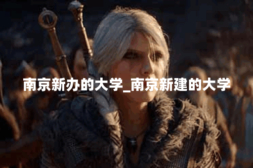 南京新办的大学_南京新建的大学