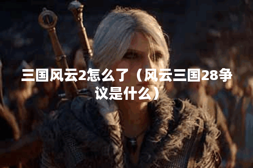 三国风云2怎么了（风云三国28争议是什么）
