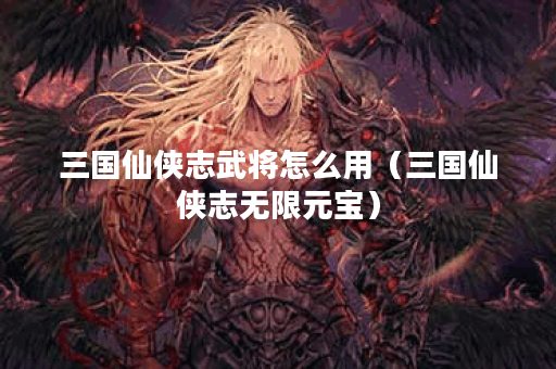 三国仙侠志武将怎么用(三国仙侠志无限元宝)