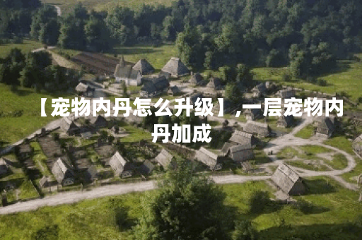 【宠物内丹怎么升级】,一层宠物内丹加成