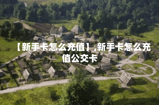 【新手卡怎么充值】,新手卡怎么充值公交卡