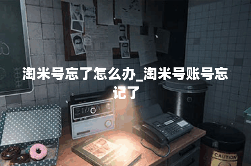 淘米号忘了怎么办_淘米号账号忘记了