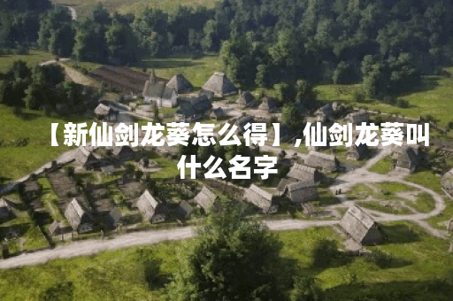 【新仙剑龙葵怎么得】,仙剑龙葵叫什么名字