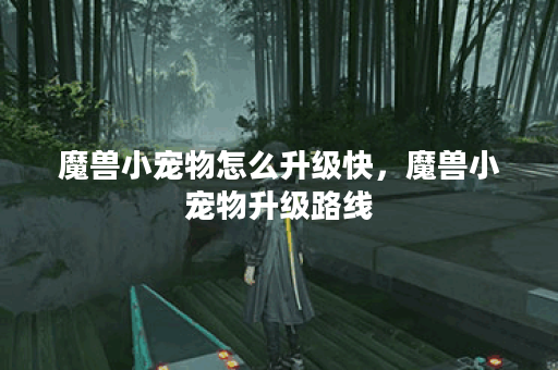 魔兽小宠物怎么升级快，魔兽小宠物升级路线