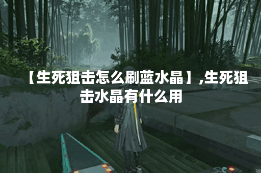 【生死狙击怎么刷蓝水晶】,生死狙击水晶有什么用