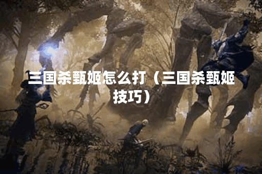 三国杀甄姬怎么打（三国杀甄姬技巧）