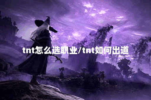 tnt怎么选职业/tnt如何出道