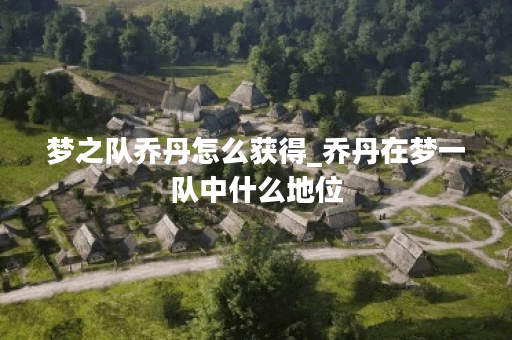 梦之队乔丹怎么获得_乔丹在梦一队中什么地位