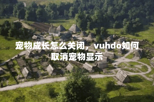宠物成长怎么关闭，vuhdo如何取消宠物显示