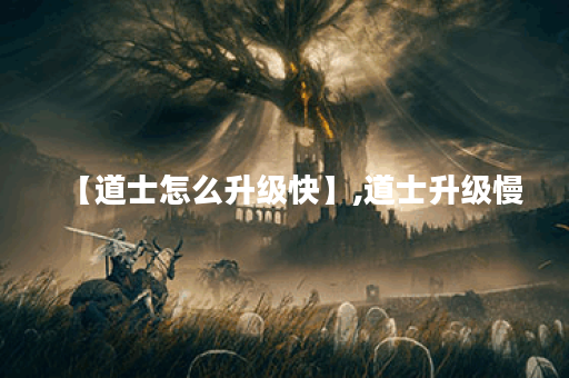 【道士怎么升级快】,道士升级慢