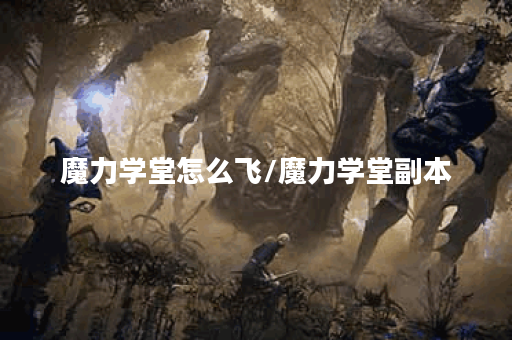 魔力学堂怎么飞/魔力学堂副本