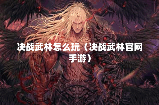 决战武林怎么玩（决战武林官网手游）