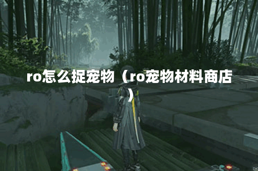 ro怎么捉宠物（ro宠物材料商店）