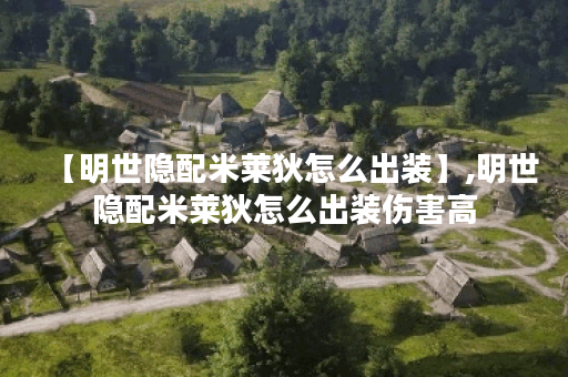 【明世隐配米莱狄怎么出装】,明世隐配米莱狄怎么出装伤害高