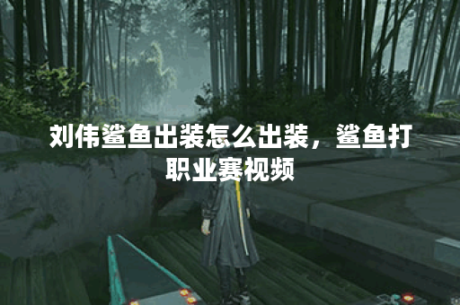 刘伟鲨鱼出装怎么出装，鲨鱼打职业赛视频