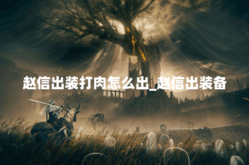 赵信出装打肉怎么出_赵信出装备