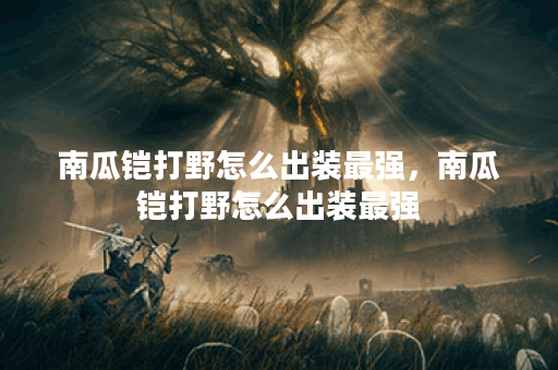 南瓜铠打野怎么出装最强，南瓜铠打野怎么出装最强