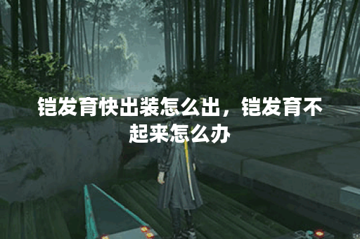 铠发育快出装怎么出,铠发育不起来怎么办 铠发育快出装怎么出,铠发育不起来怎么办