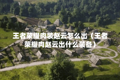 王者荣耀肉装赵云怎么出（王者荣耀肉赵云出什么装备）