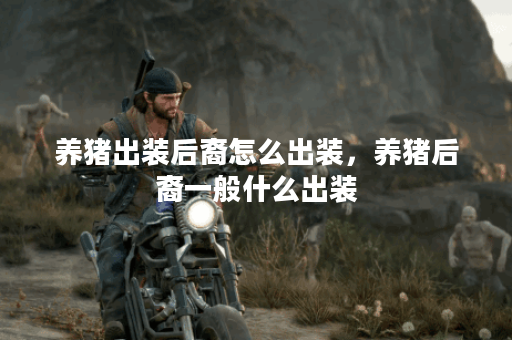 养猪出装后裔怎么出装，养猪后裔一般什么出装