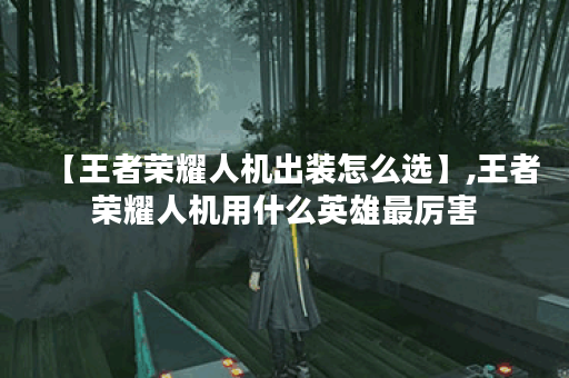 【王者荣耀人机出装怎么选】,王者荣耀人机用什么英雄最厉害