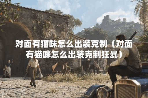 对面有猫咪怎么出装克制（对面有猫咪怎么出装克制狂暴）