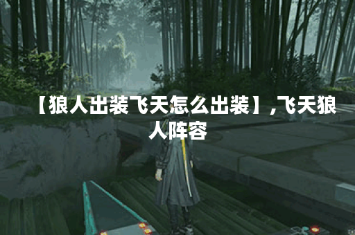 【狼人出装飞天怎么出装】,飞天狼人阵容