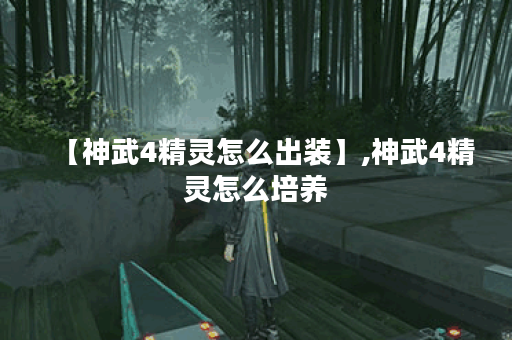 【神武4精灵怎么出装】,神武4精灵怎么培养