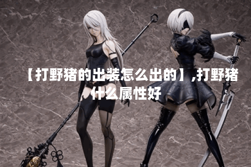【打野猪的出装怎么出的】,打野猪什么属性好